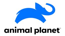 watch animal planet online