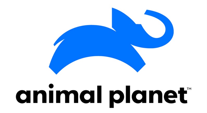 watch animal planet online