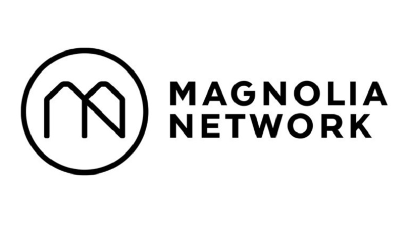 watch magnolia network online